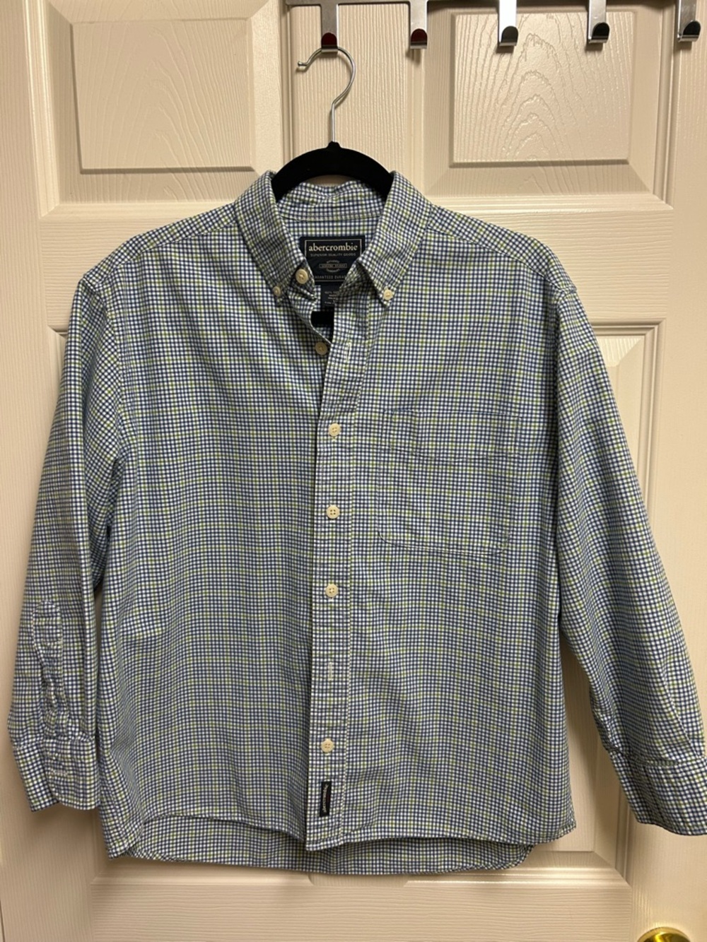 Abercrombie & Fitch Blue and Green Gingham Button-Down Shirt